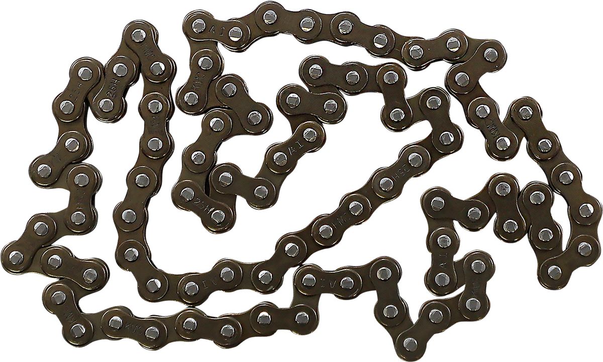 Cam Chain