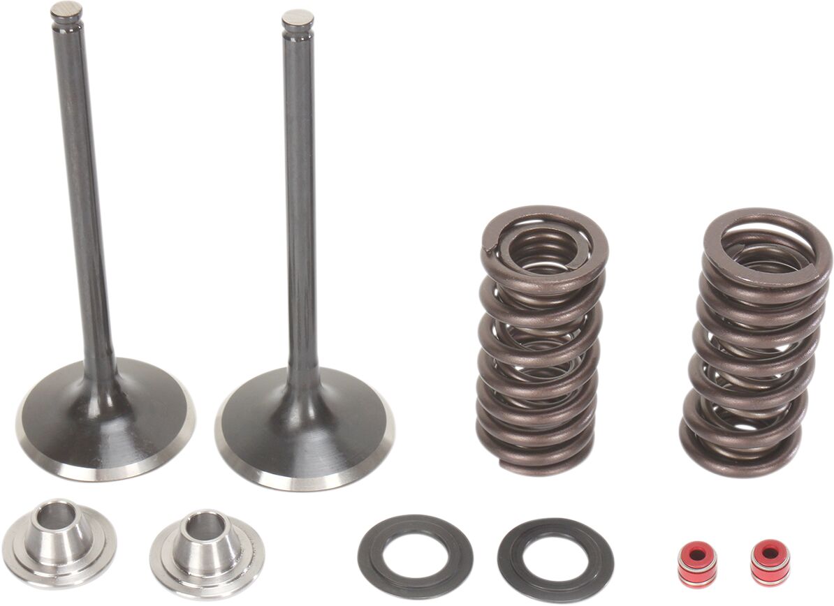 Stainless Intake Valve and Spring Kit