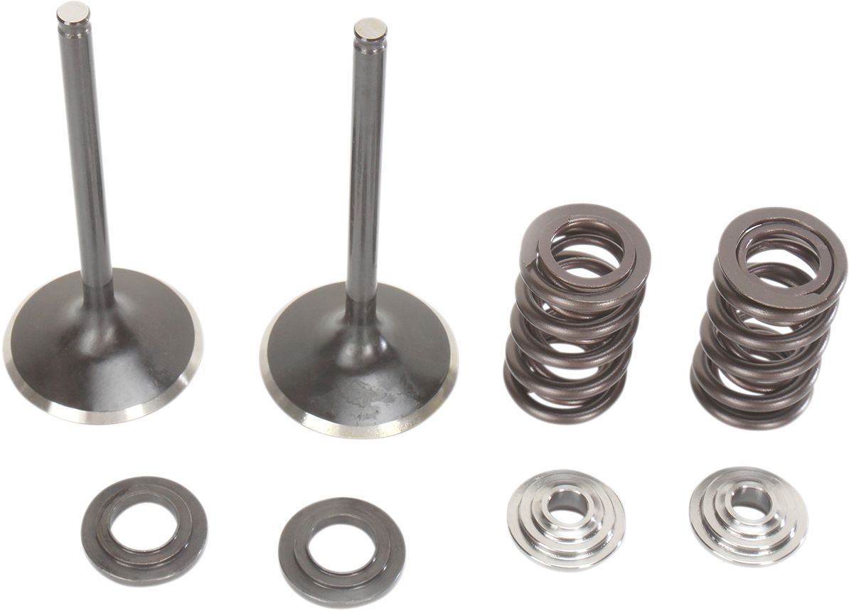 Stainless Intake Valve and Spring Kit