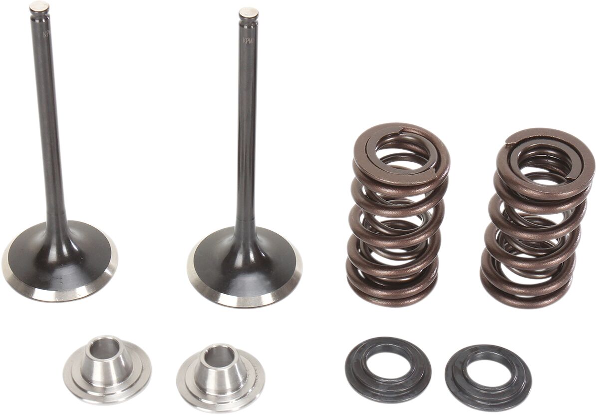 Stainless Intake Valve and Spring Kit