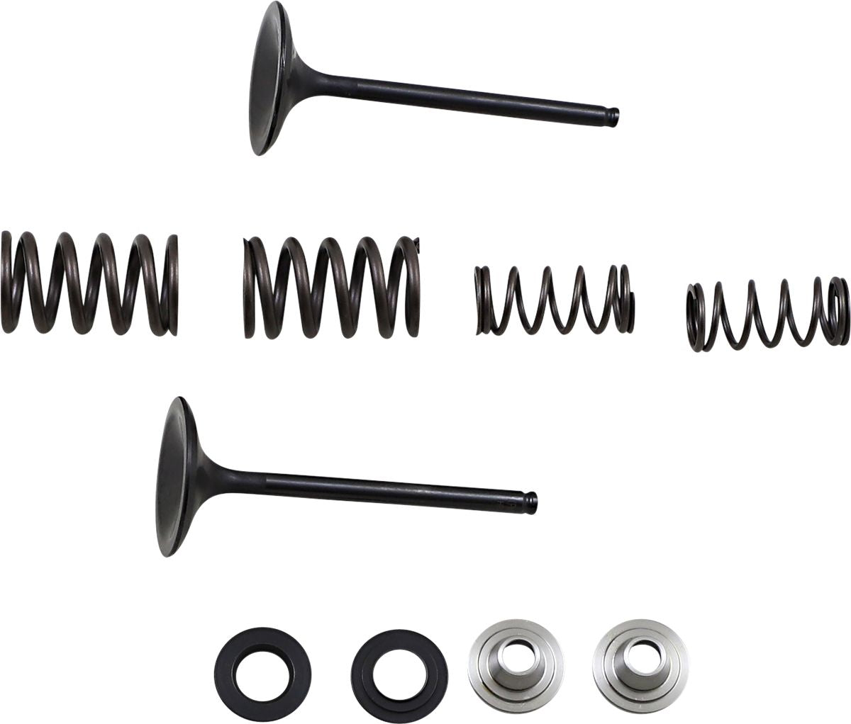 Stainless Intake Valve and Spring Kit