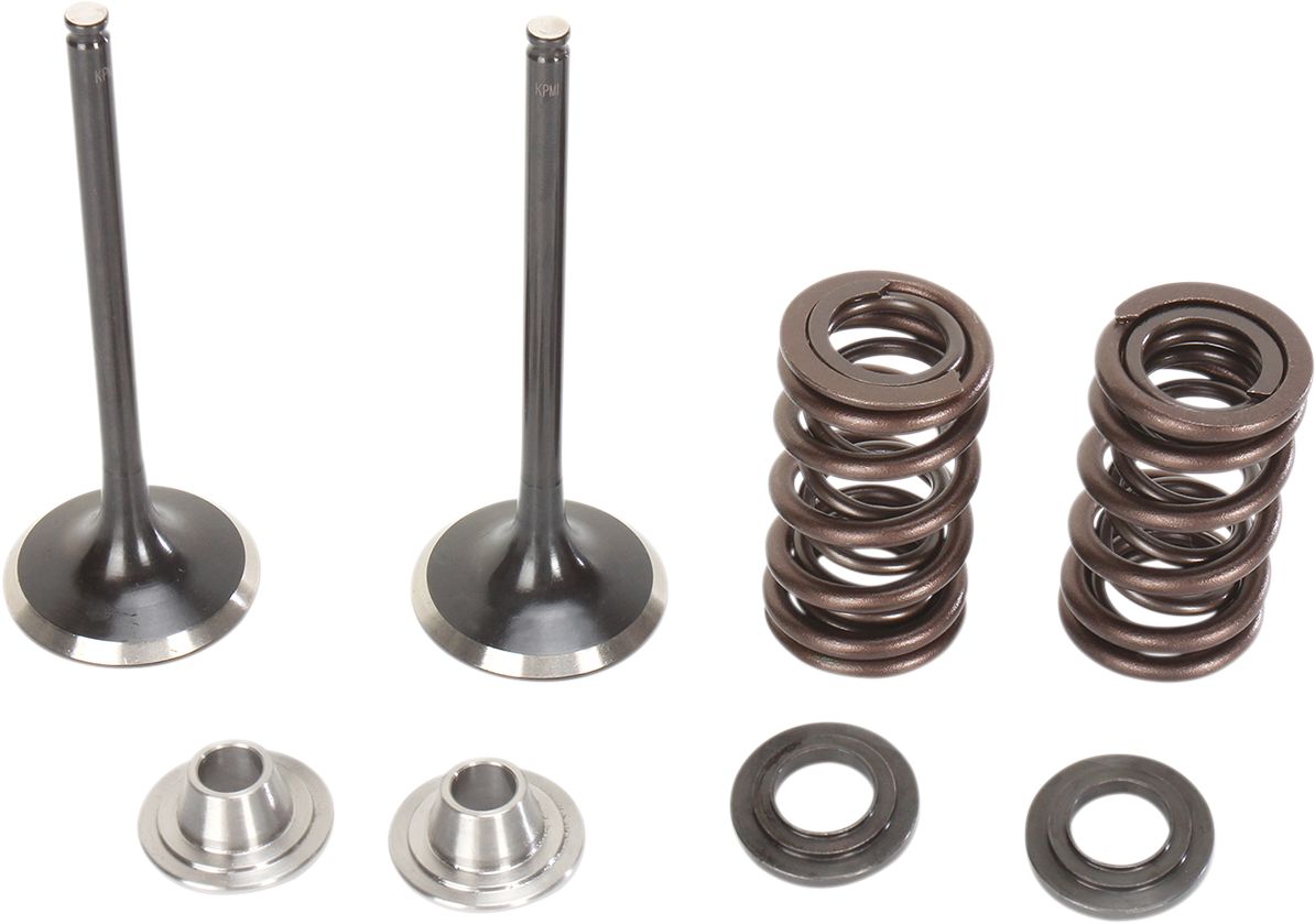 Stainless Intake Valve and Spring Kit