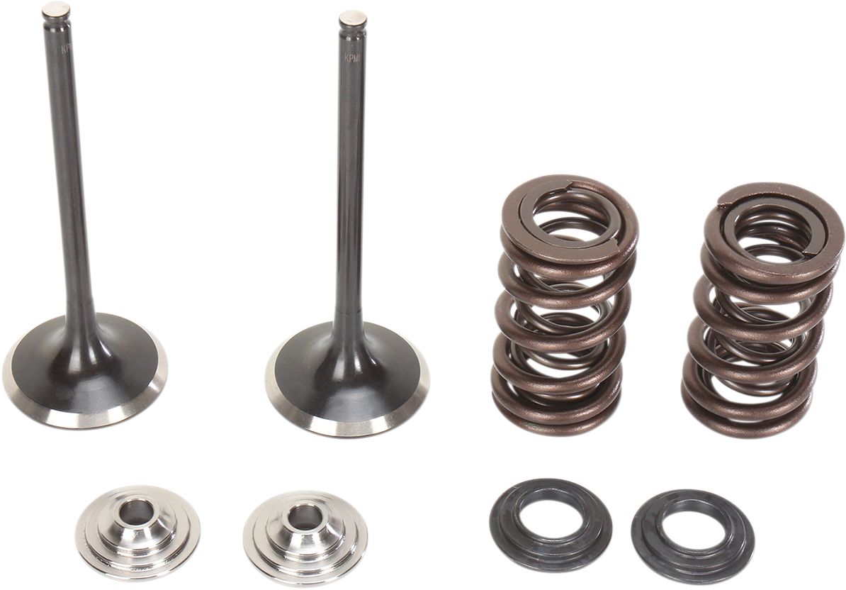Stainless Intake Valve and Spring Kit