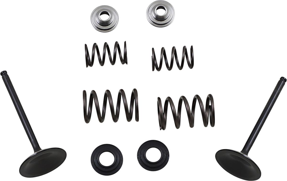 Stainless Intake Valve and Spring Kit