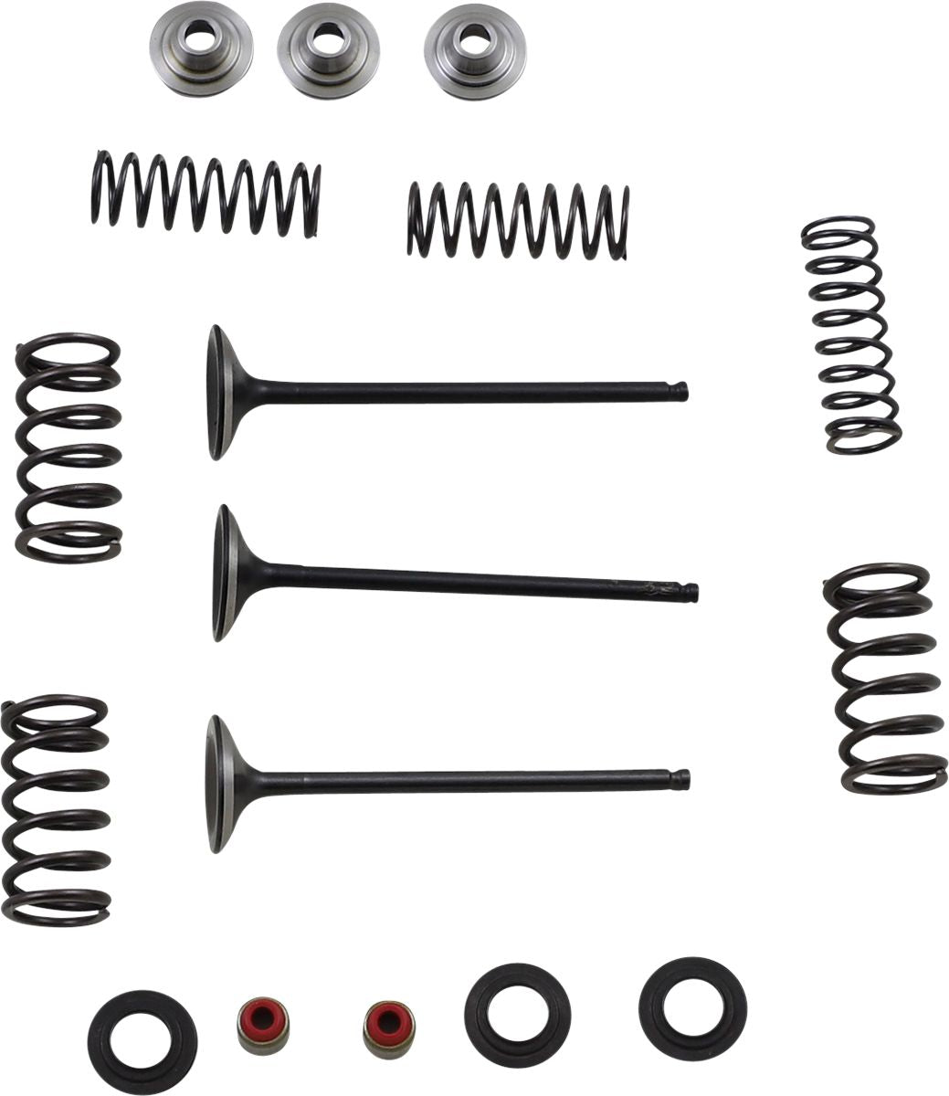 Stainless Intake Valve and Spring Kit