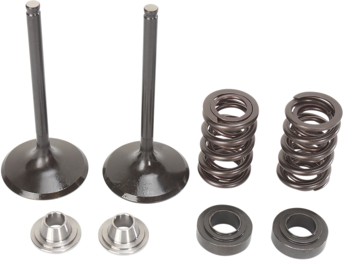 Stainless Intake Valve and Spring Kit