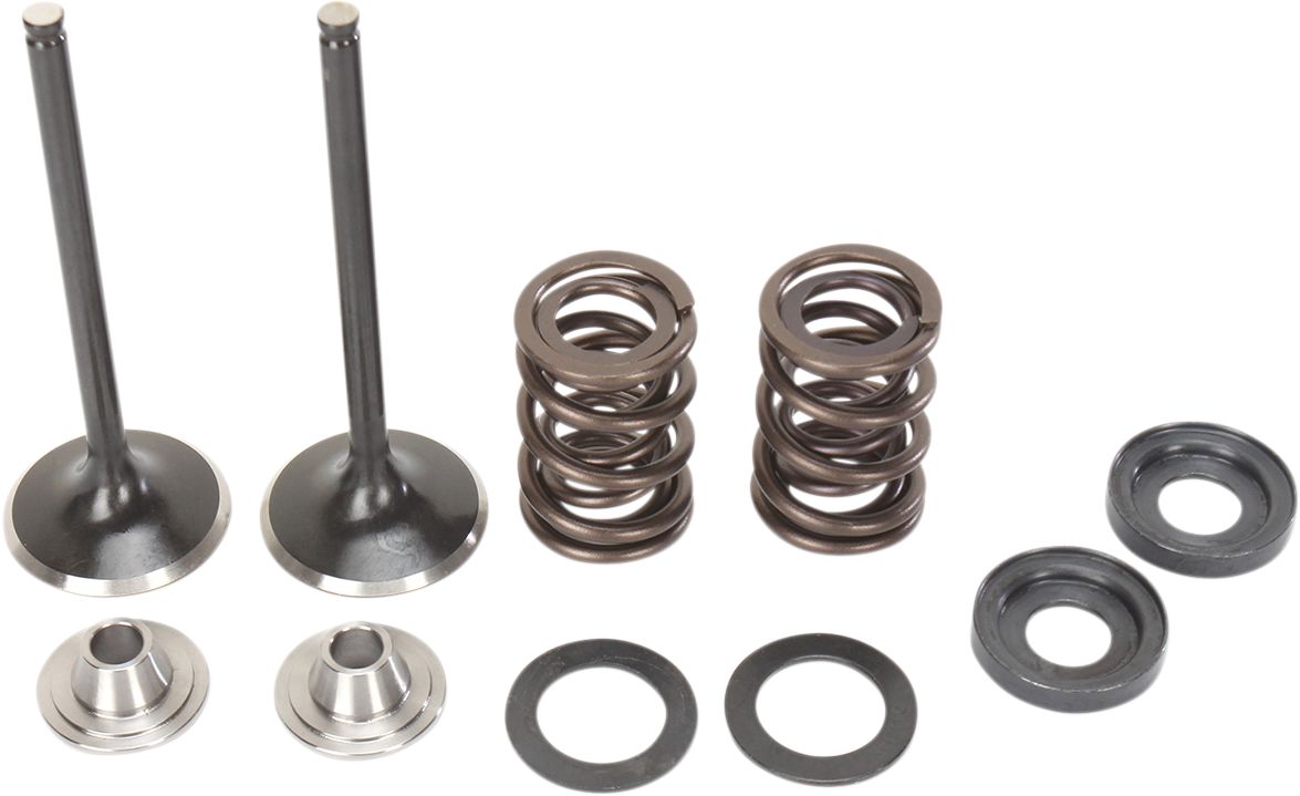 Stainless Intake Valve and Spring Kit