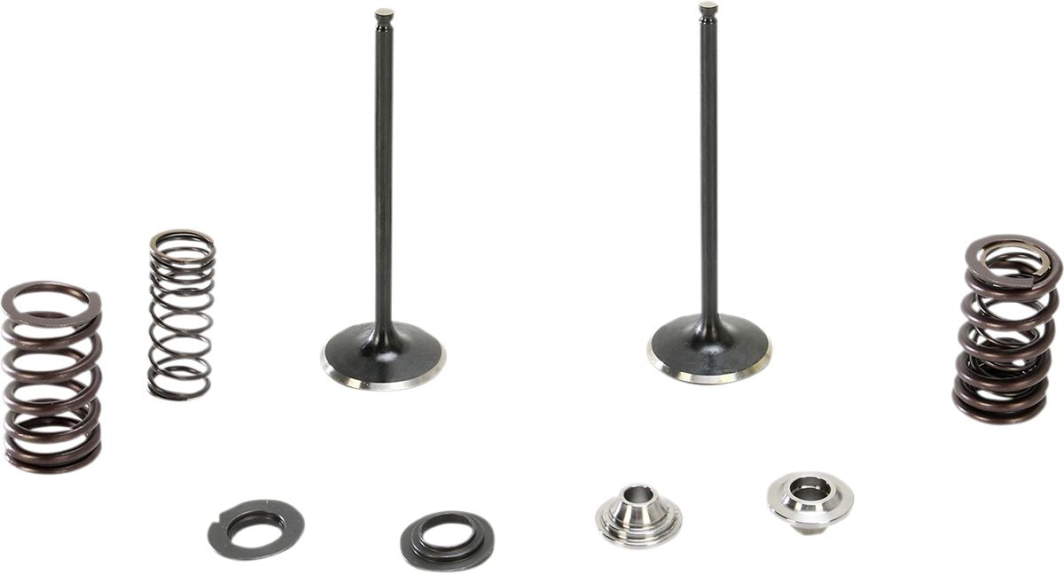 Stainless Intake Valve and Spring Kit