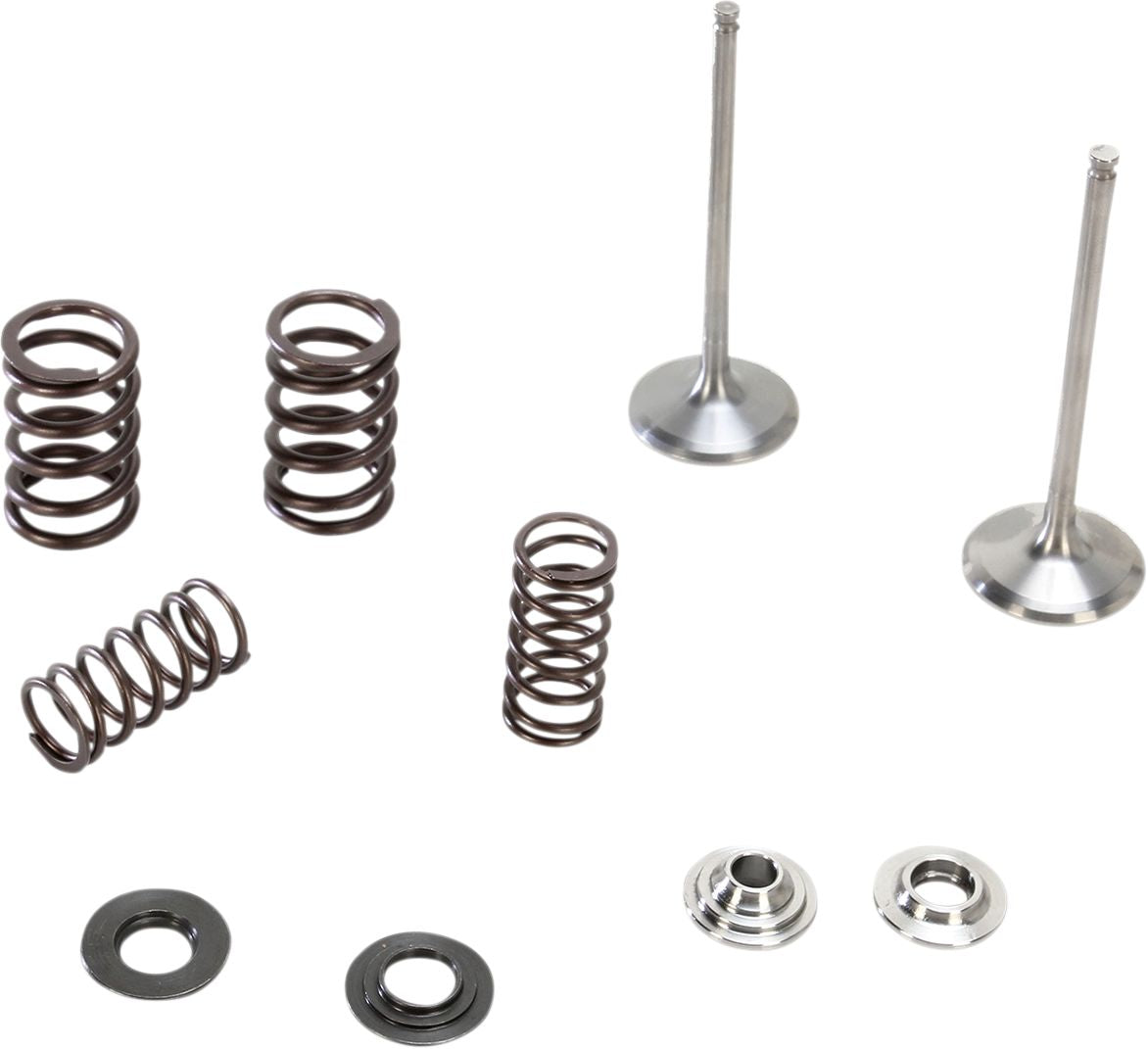 Stainless Intake Valve and Spring Kit