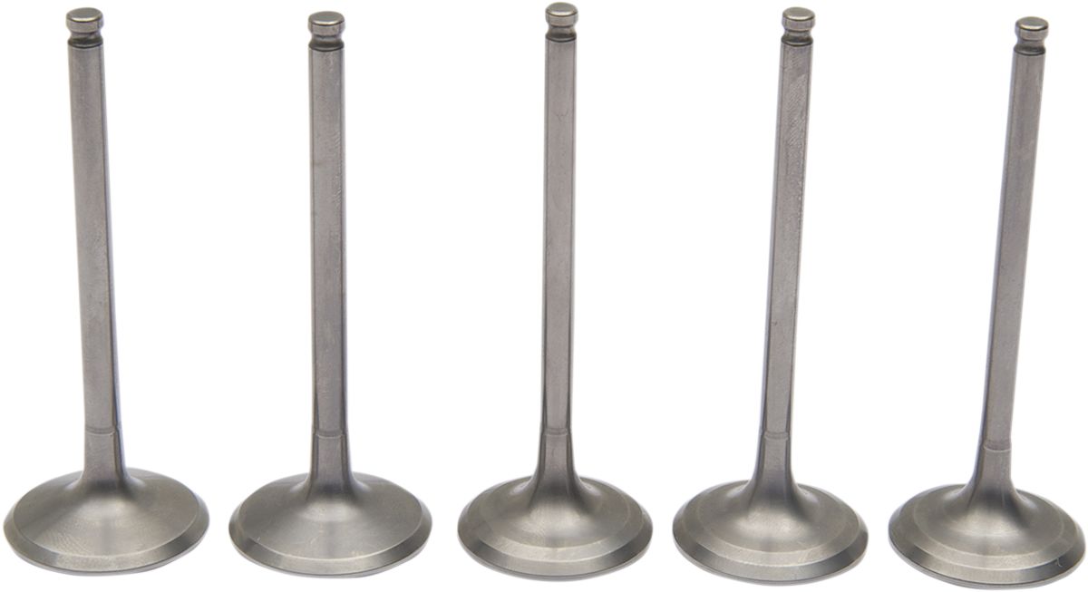 Pro Valve Kit