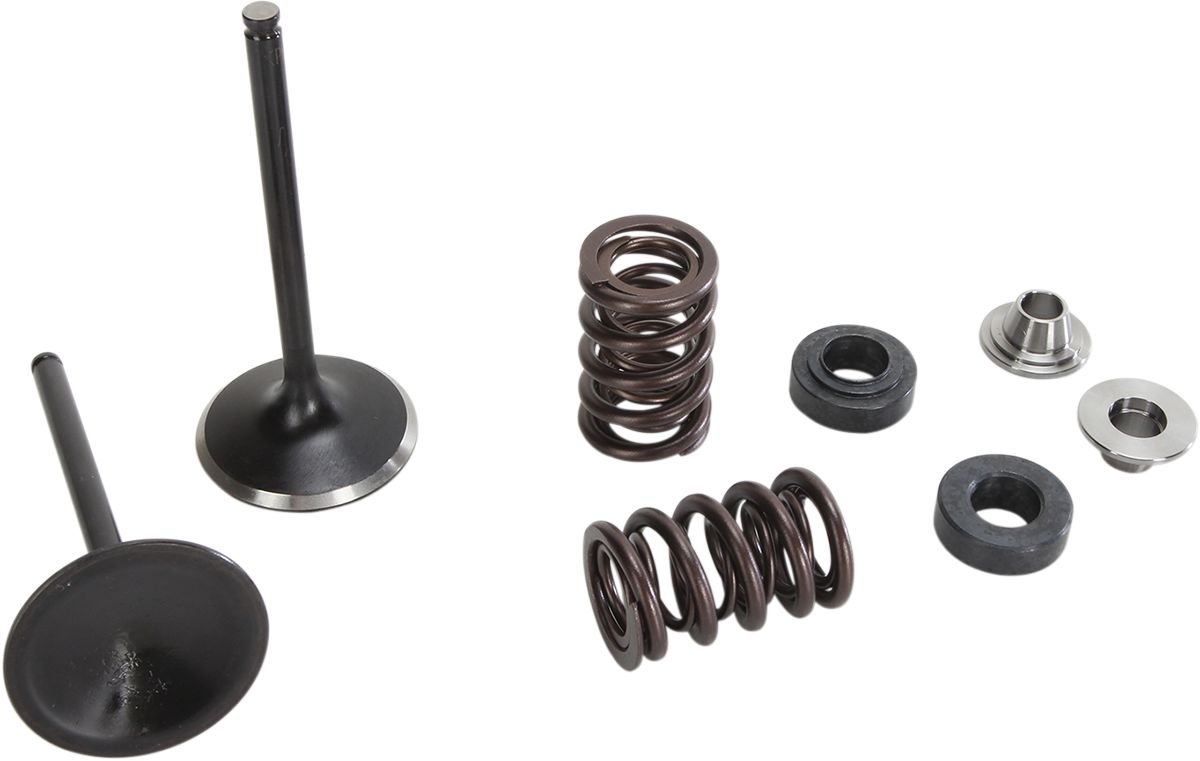 Stainless Intake Valve and Spring Kit