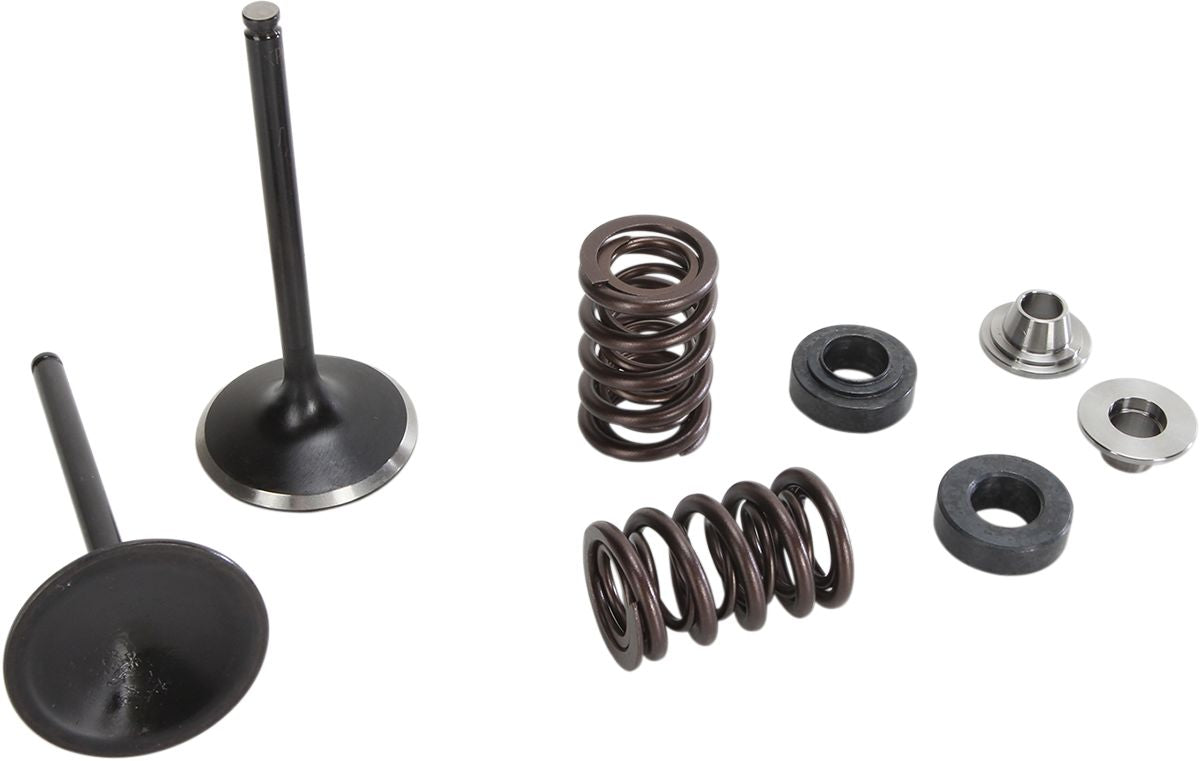 Stainless Exhaust Valve and Spring Kit
