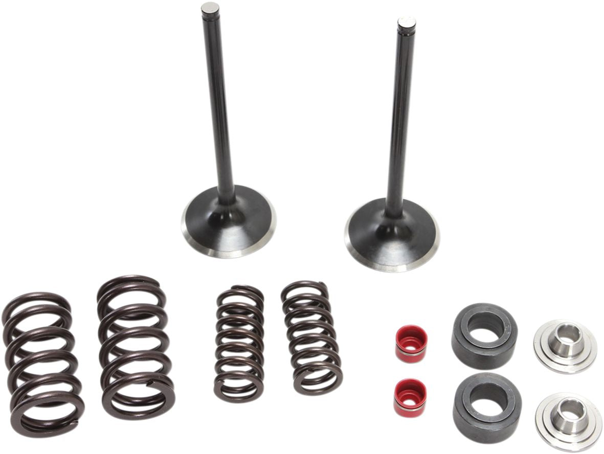Stainless Intake Valve and Spring Kit