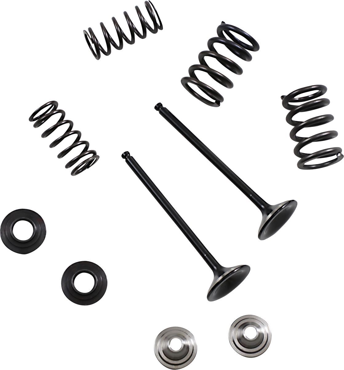 Stainless Exhaust Valve and Spring Kit