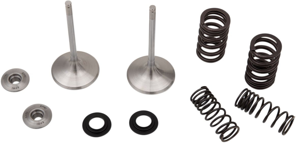 Stainless Intake Valve and Spring Kit