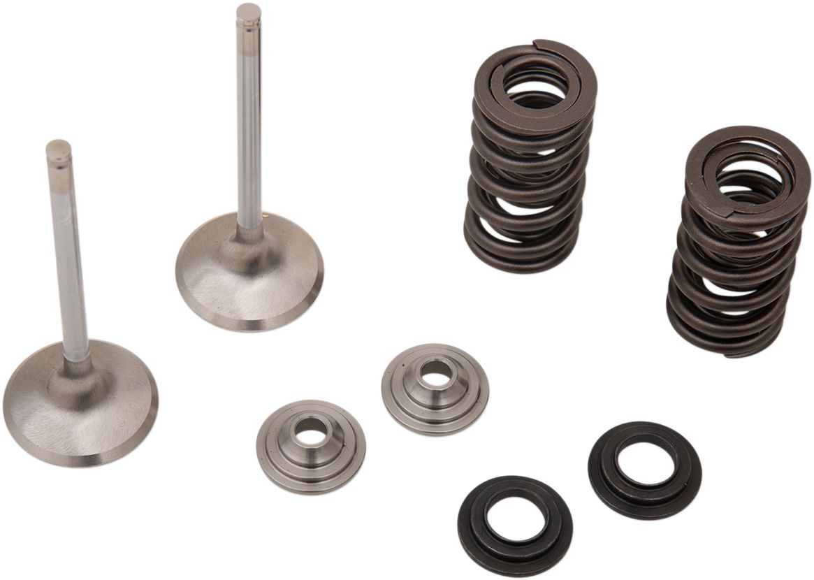 Stainless Exhaust Valve and Spring Kit