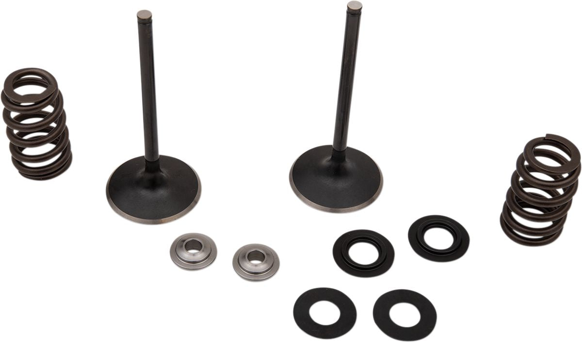 Stainless Intake Valve and Spring Kit