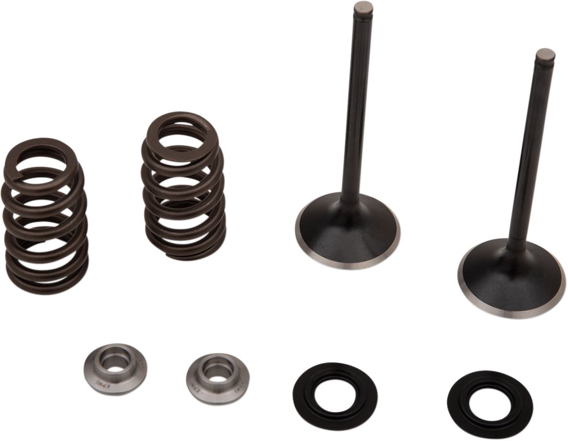 Stainless Exhaust Valve and Spring Kit