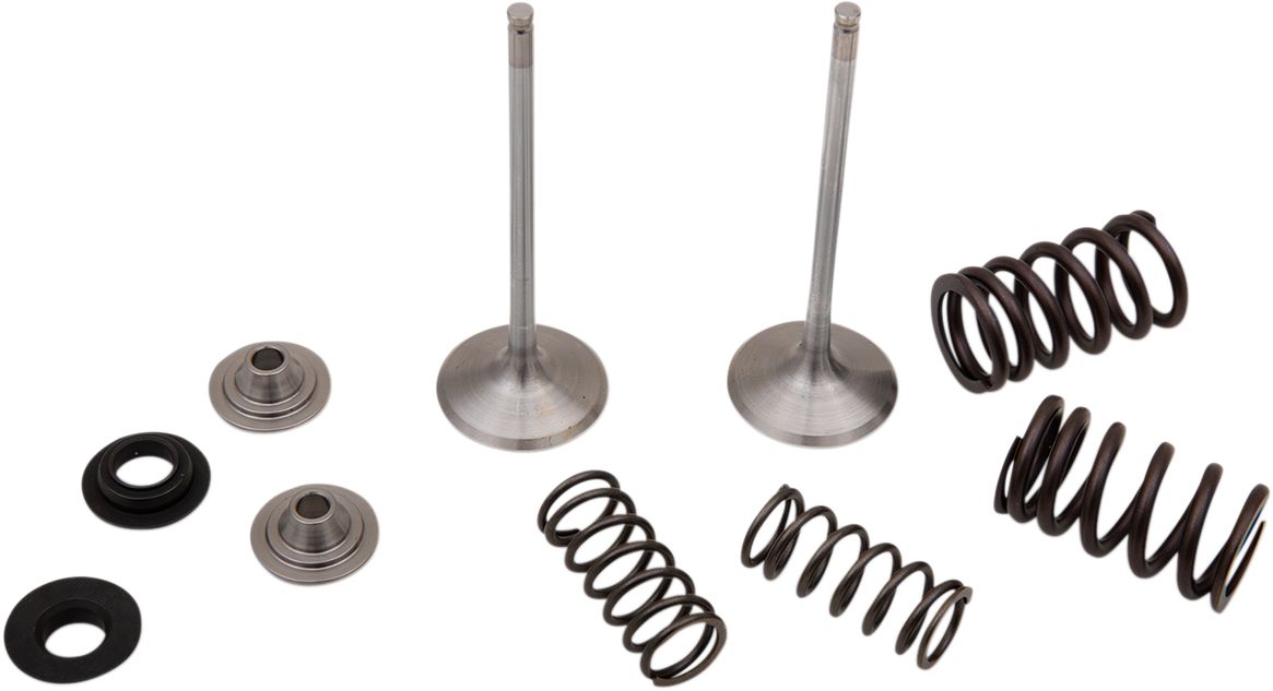 Stainless Intake Valve and Spring Kit