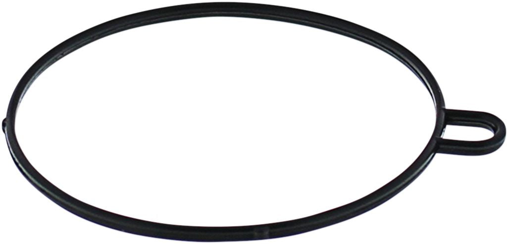 Gasket Float Bowl