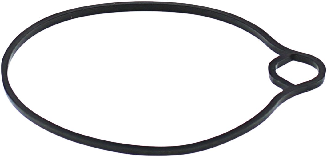 Gasket Float Bowl