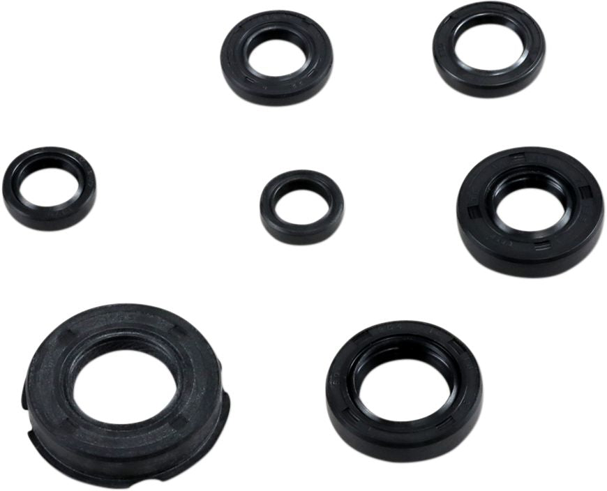 Oil Seal Kit