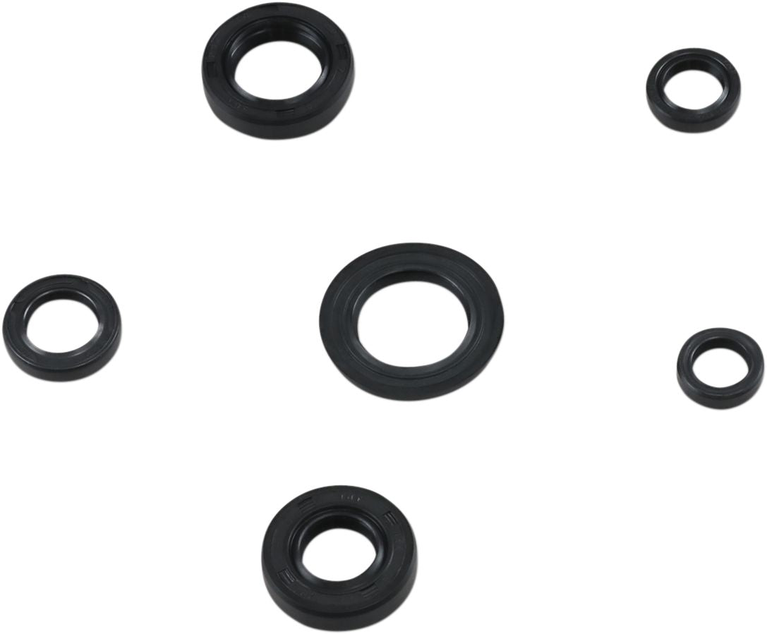 Oil Seal Kit