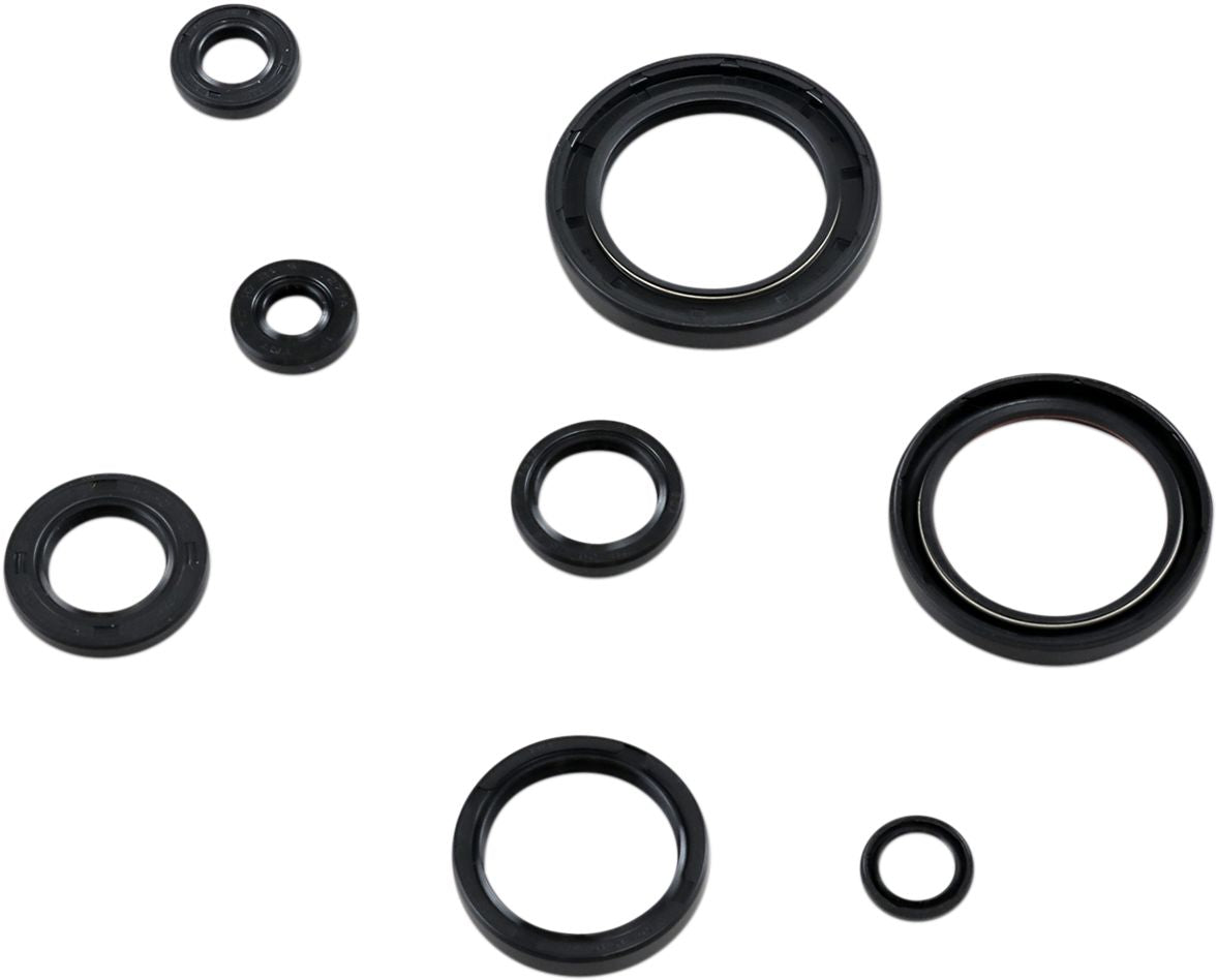 Oil Seal Kit
