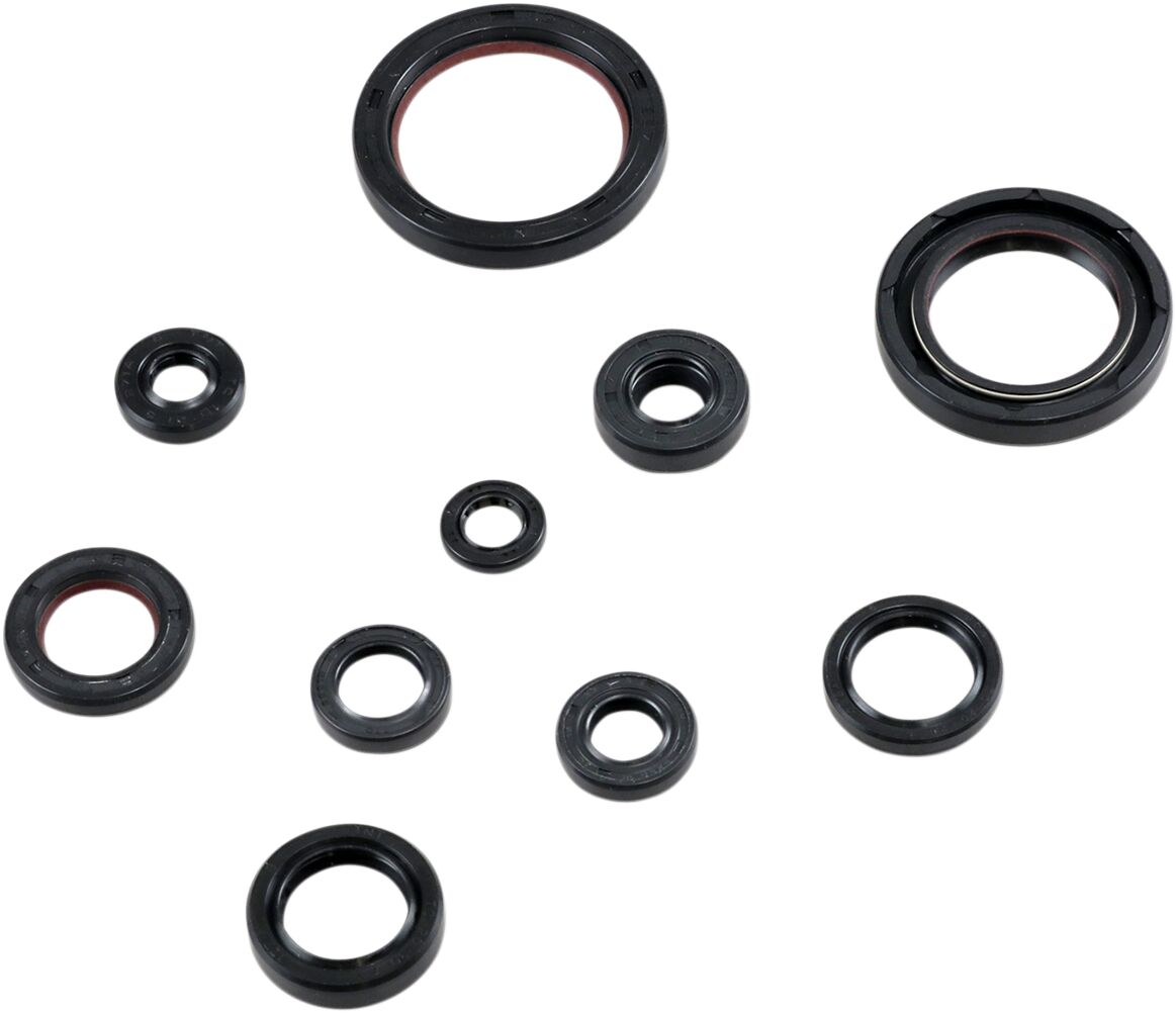 Oil Seal Kit