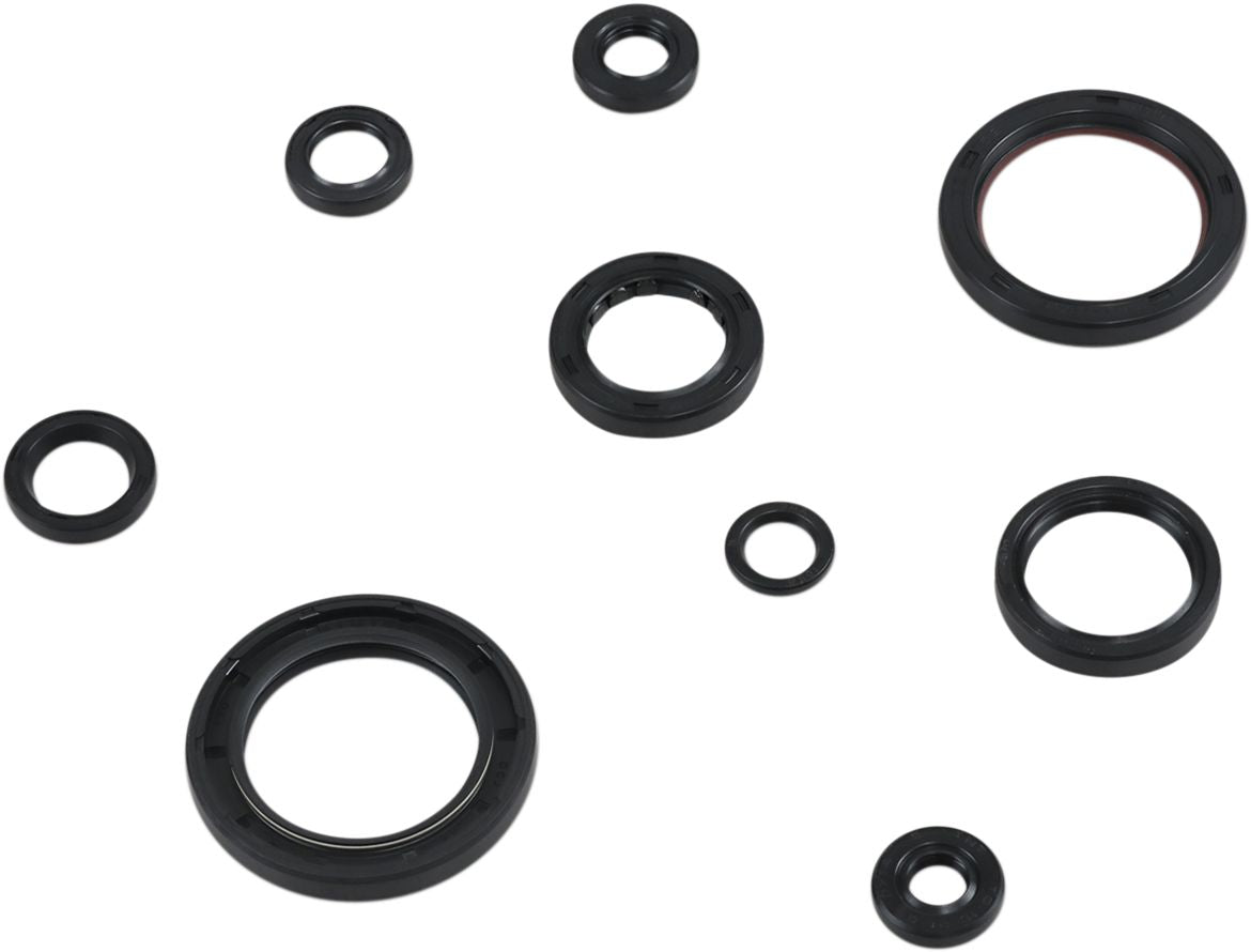 Oil Seal Kit