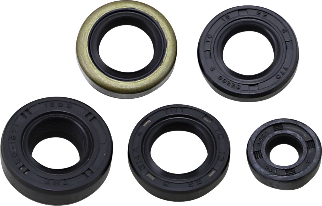 Oil Seal Kit