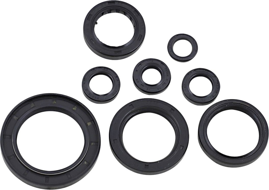 Oil Seal Kit