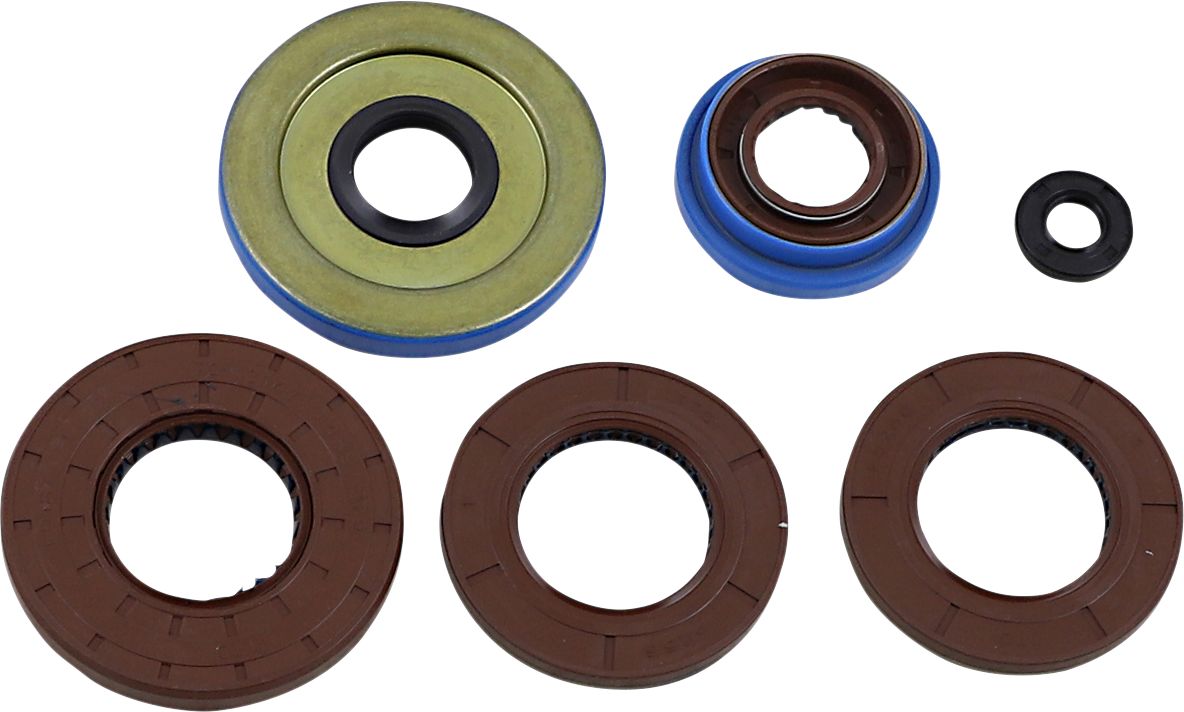 Oil Seal Kit