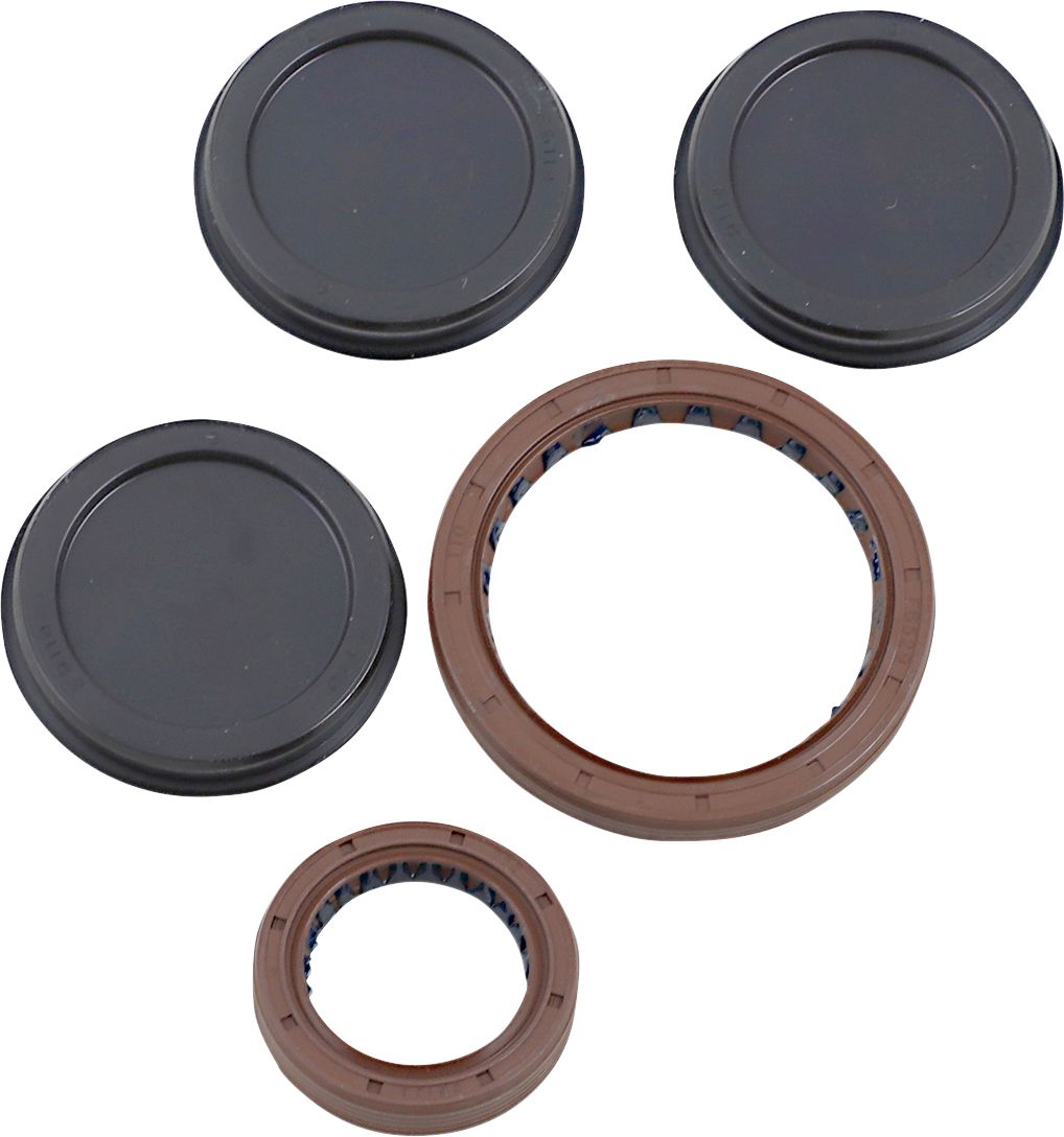 Oil Seal Kit