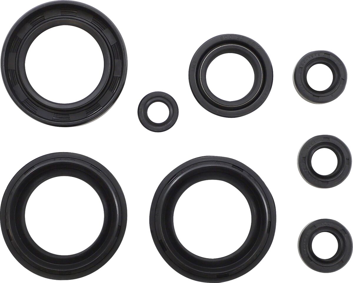 Oil Seal Set
