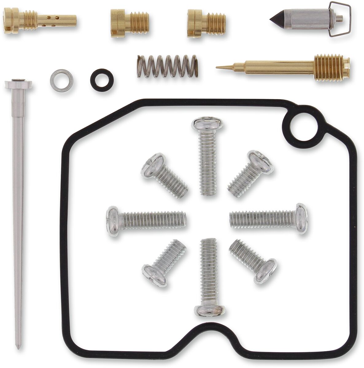 Carburetor Repair Kit