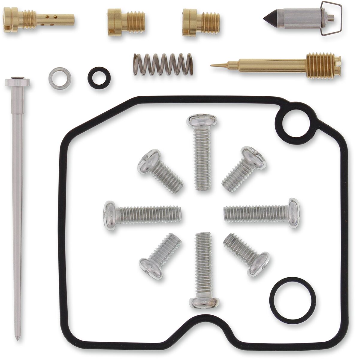 Carburetor Repair Kit