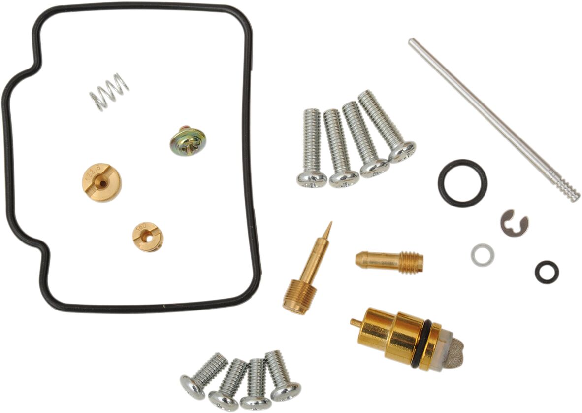 Carburetor Repair Kit