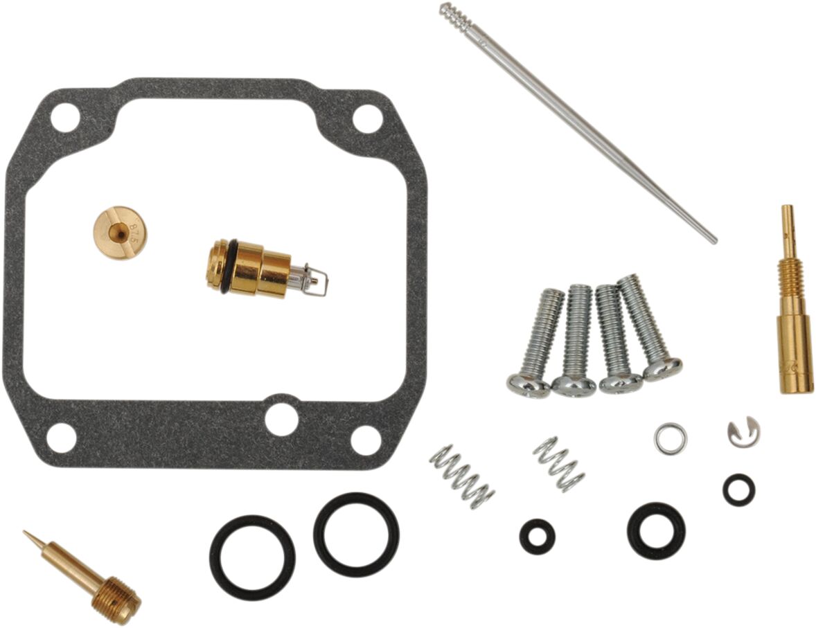 Carburetor Repair Kit