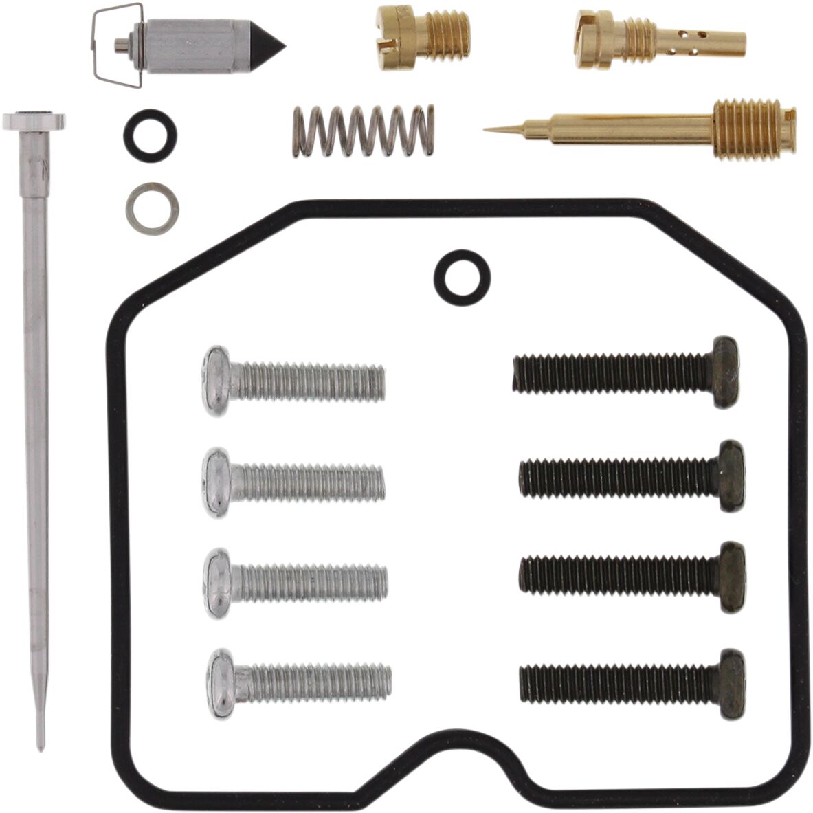 Carburetor Repair Kit