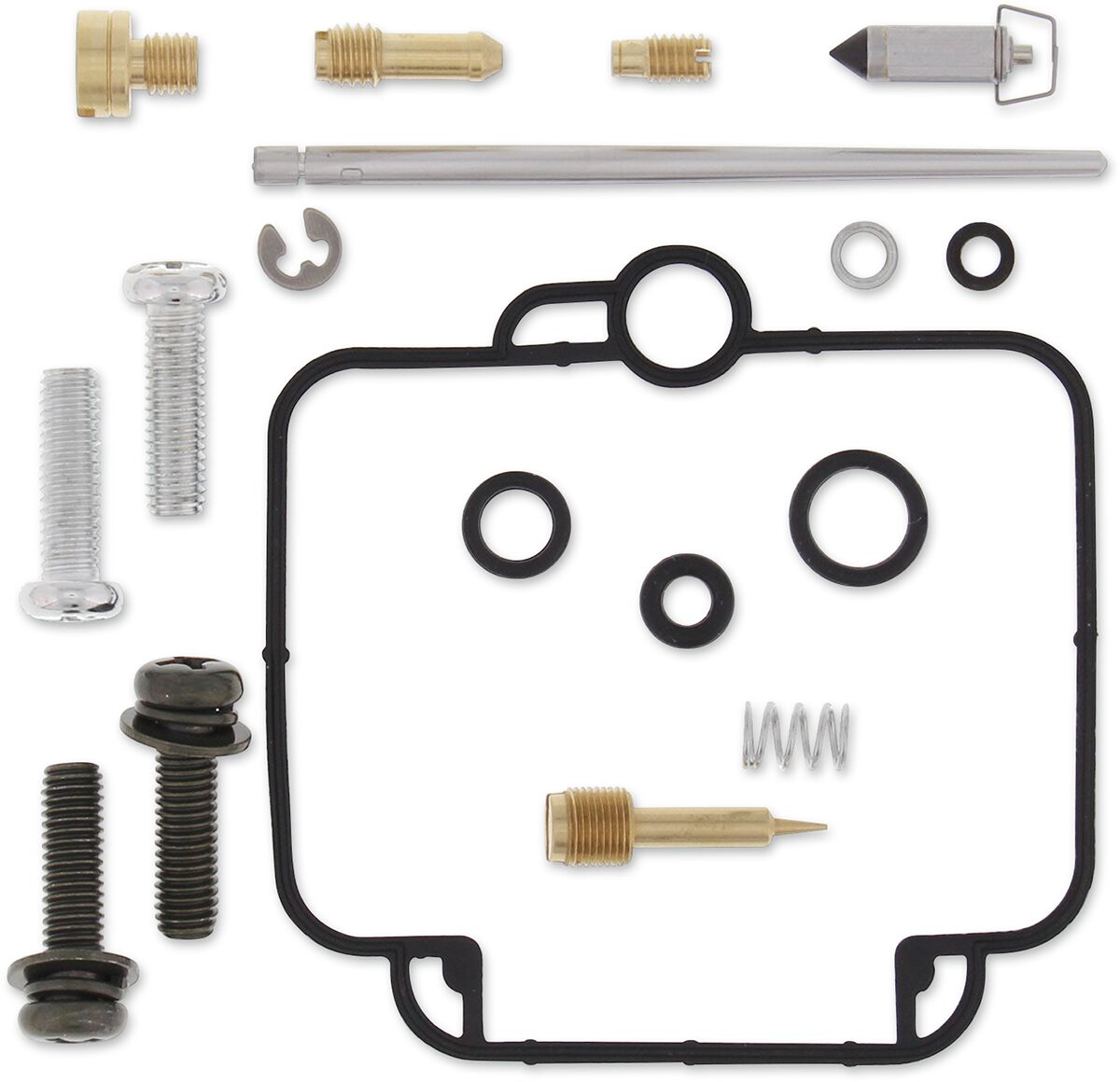 Carburetor Repair Kit