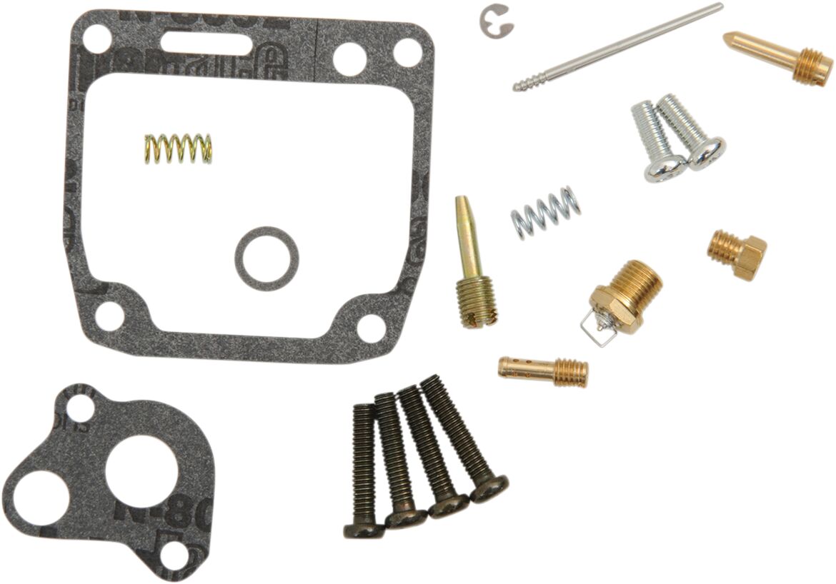 Carburetor Repair Kit