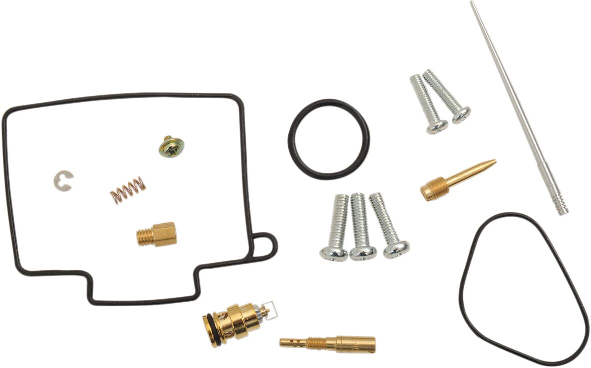 Carburetor Repair Kit