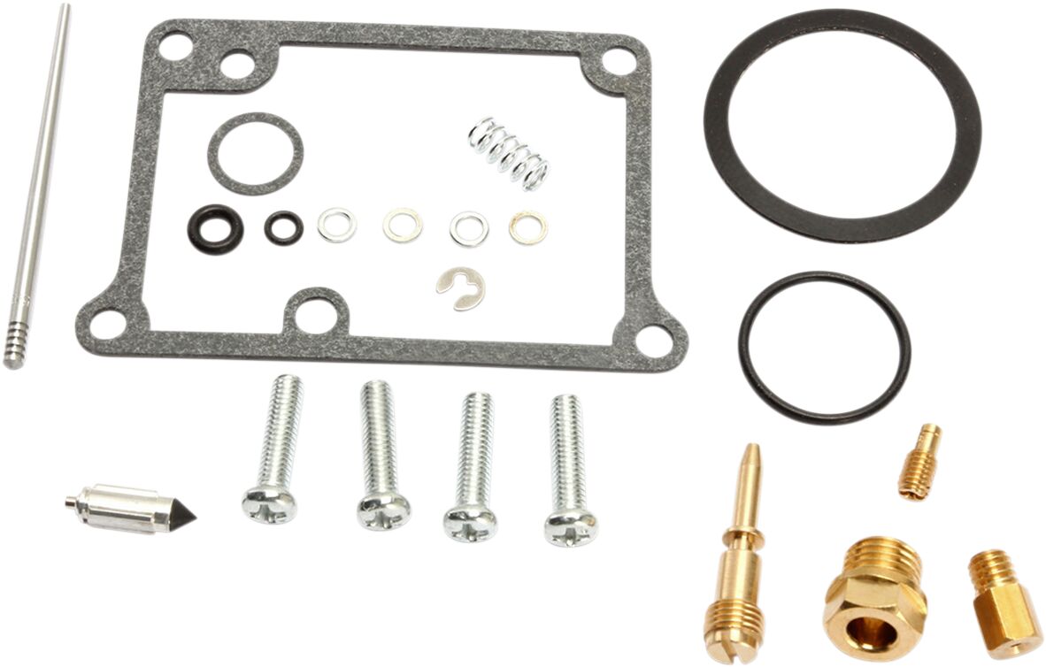 Carburetor Repair Kit