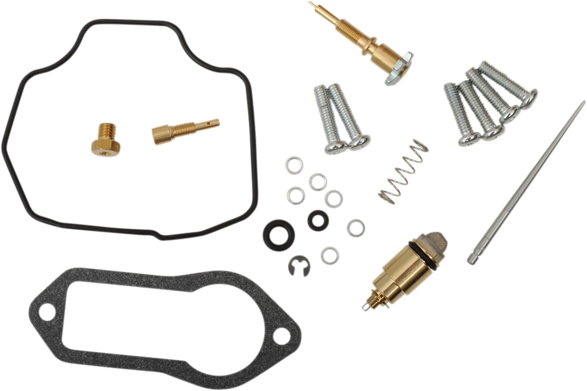 Carburetor Repair Kit