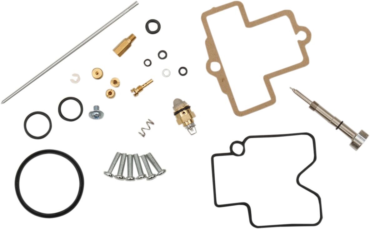 Carburetor Repair Kit
