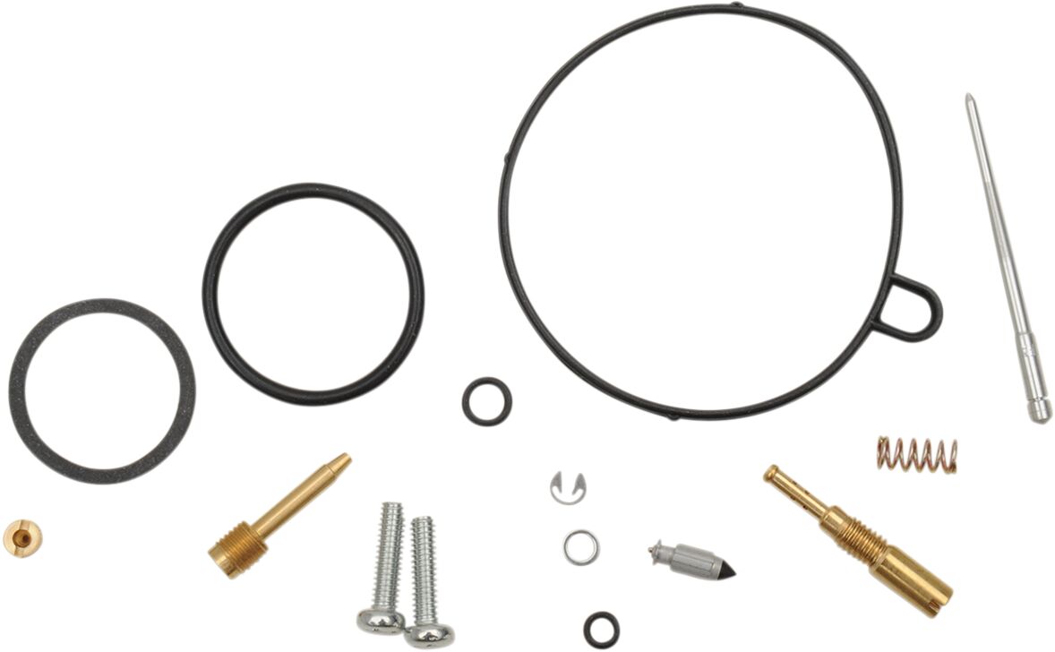 Carburetor Repair Kit