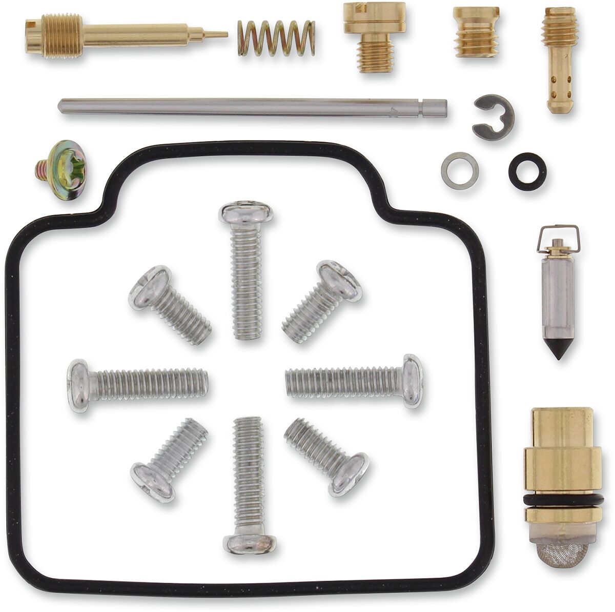 Carburetor Repair Kit