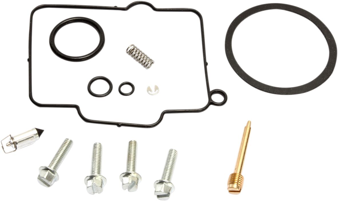 Carburetor Repair Kit