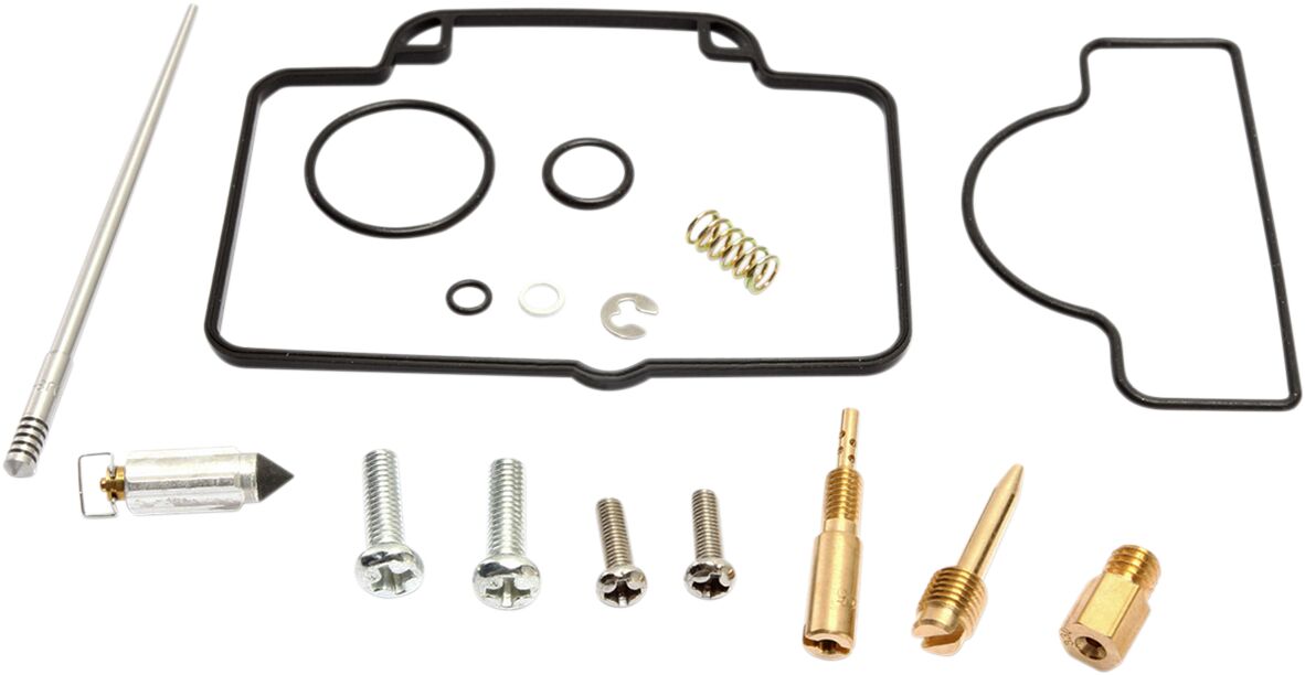 Carburetor Repair Kit